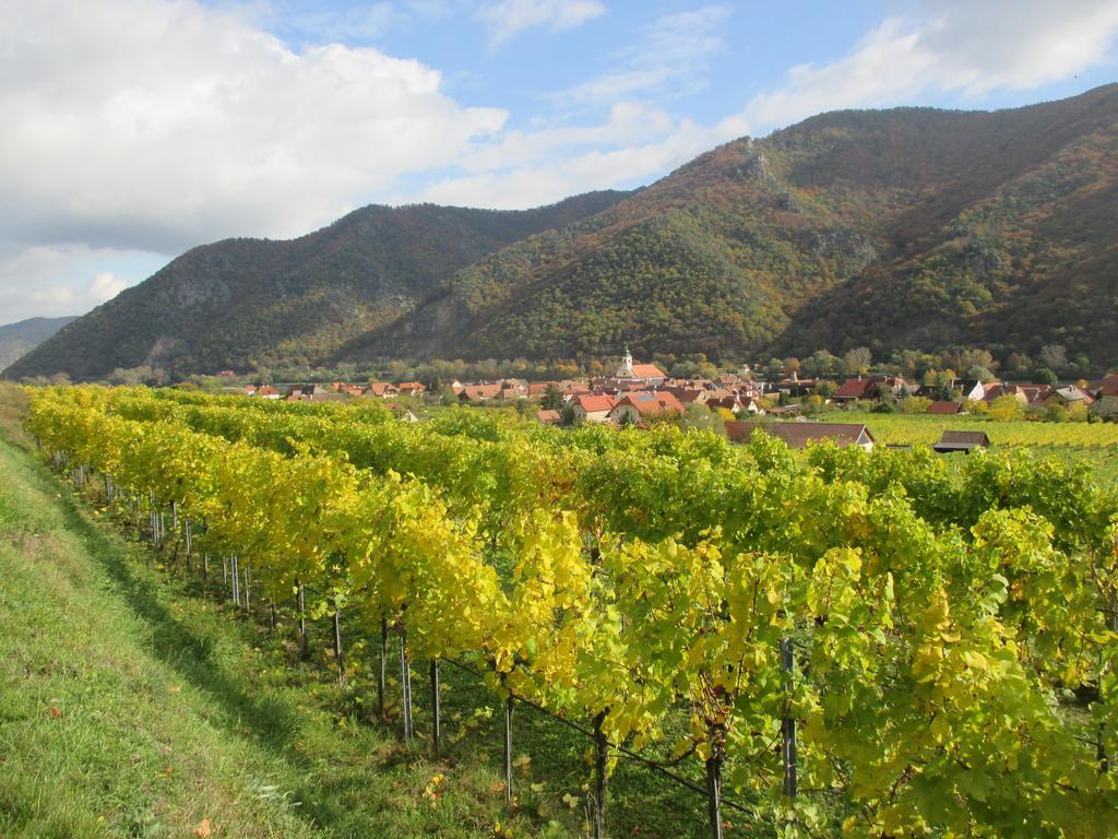 Gaestehaus Rudolf U. Sandra Denk Wosendorf in der Wachau Экстерьер фото