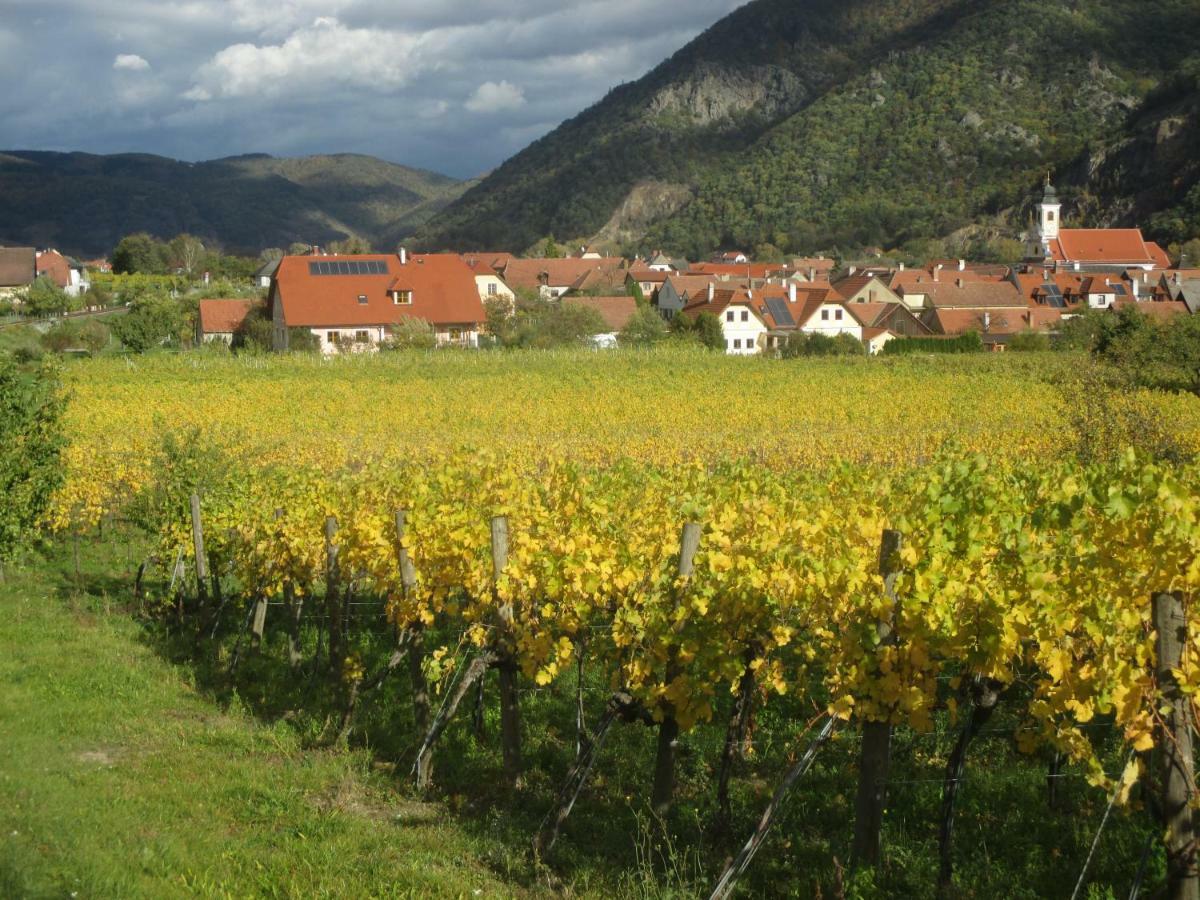 Gaestehaus Rudolf U. Sandra Denk Wosendorf in der Wachau Экстерьер фото