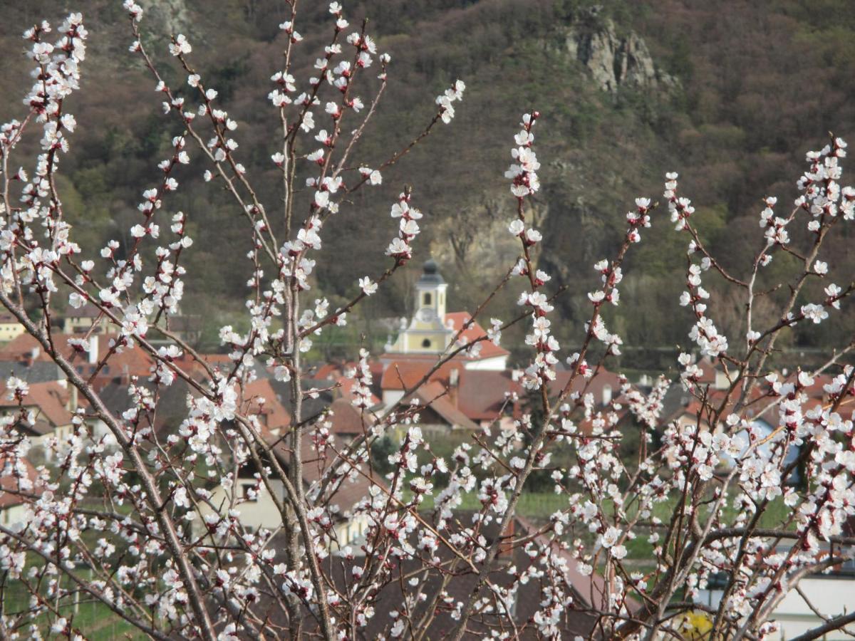 Gaestehaus Rudolf U. Sandra Denk Wosendorf in der Wachau Экстерьер фото