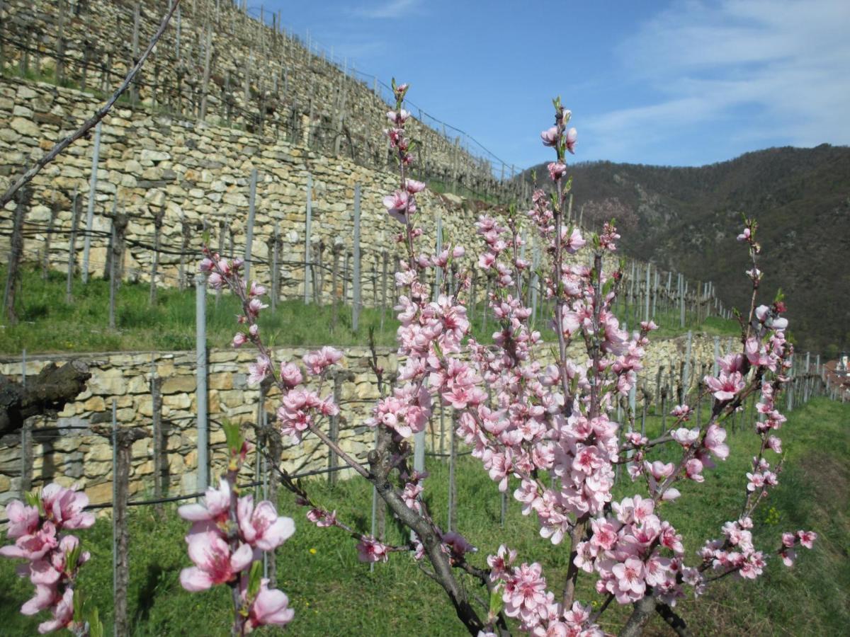 Gaestehaus Rudolf U. Sandra Denk Wosendorf in der Wachau Экстерьер фото