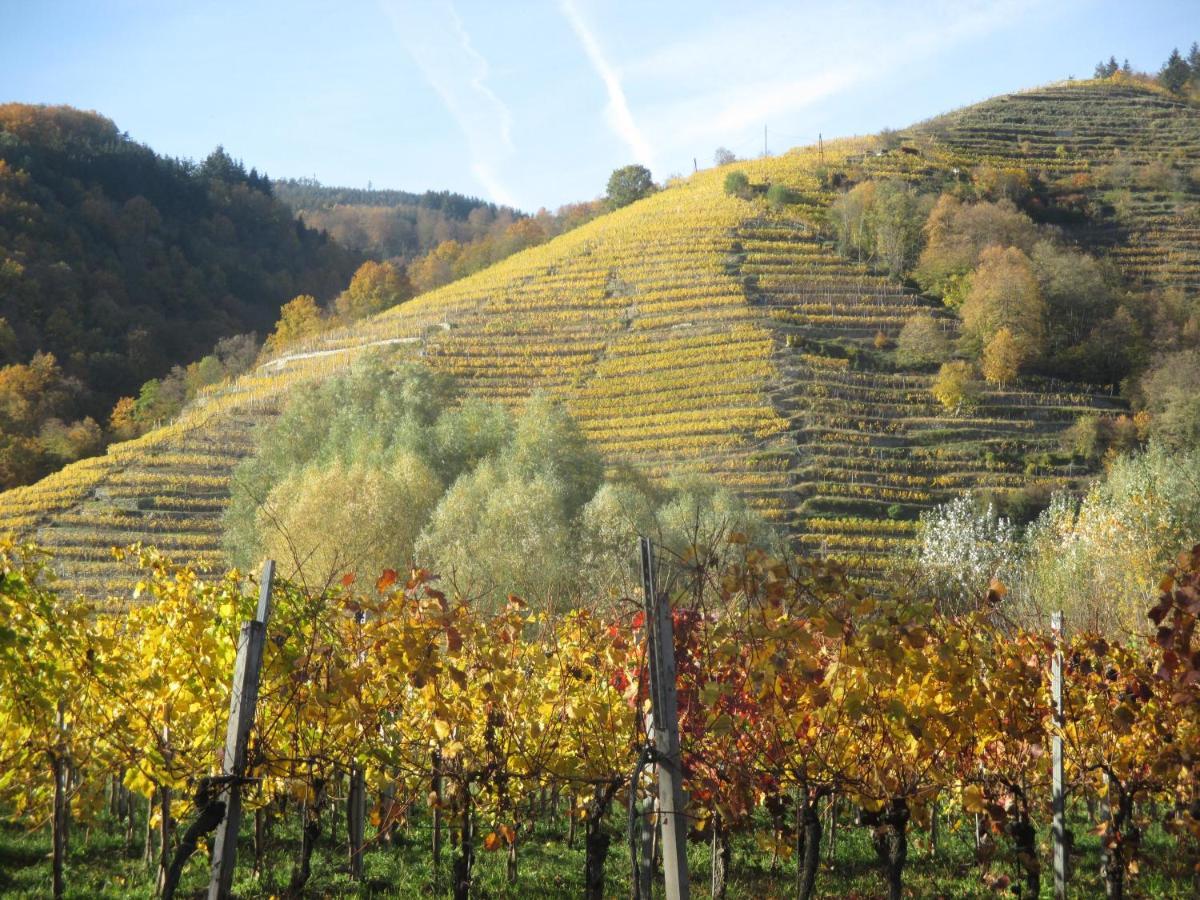 Gaestehaus Rudolf U. Sandra Denk Wosendorf in der Wachau Экстерьер фото