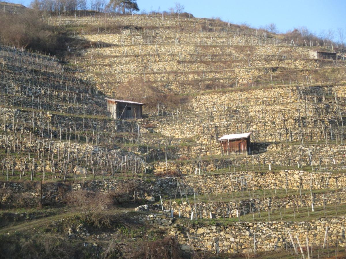 Gaestehaus Rudolf U. Sandra Denk Wosendorf in der Wachau Экстерьер фото