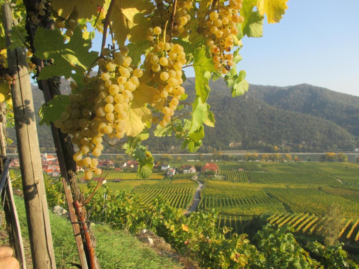 Gaestehaus Rudolf U. Sandra Denk Wosendorf in der Wachau Экстерьер фото